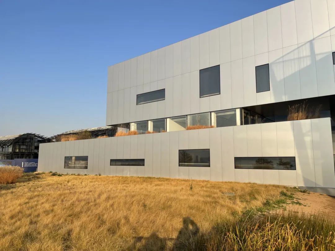 特别策划拯救,特别策划完整视频