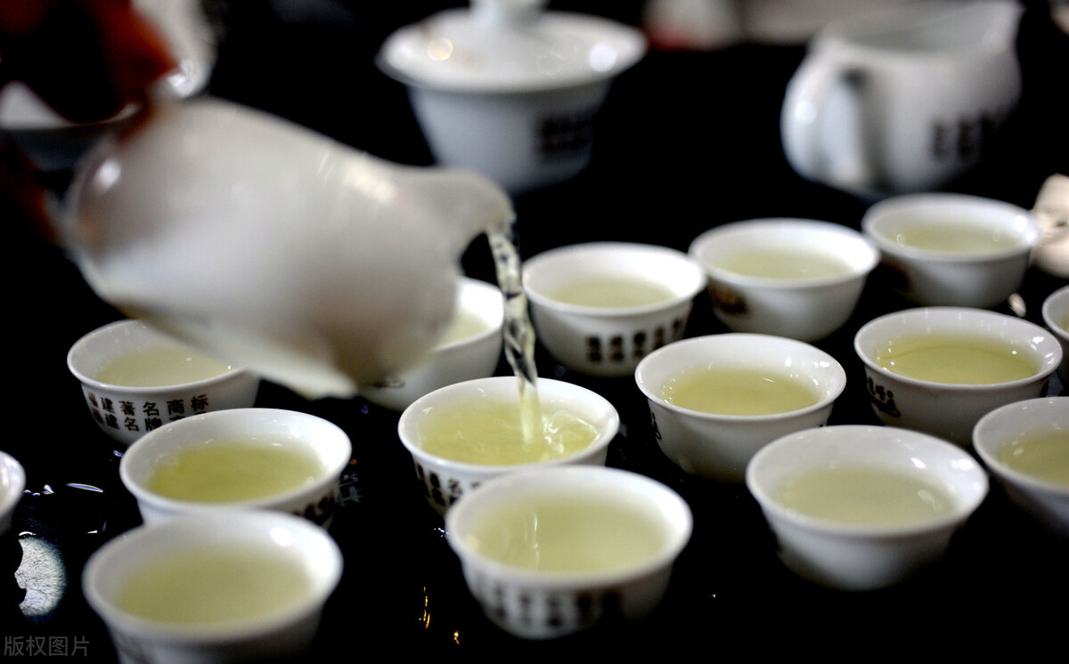 铁观音属于什么品种的茶,铁观音属于什么香型