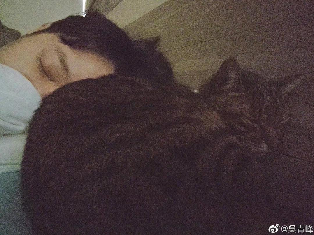 吴青峰的官司赢了吗,吴青峰官司是怎么回事