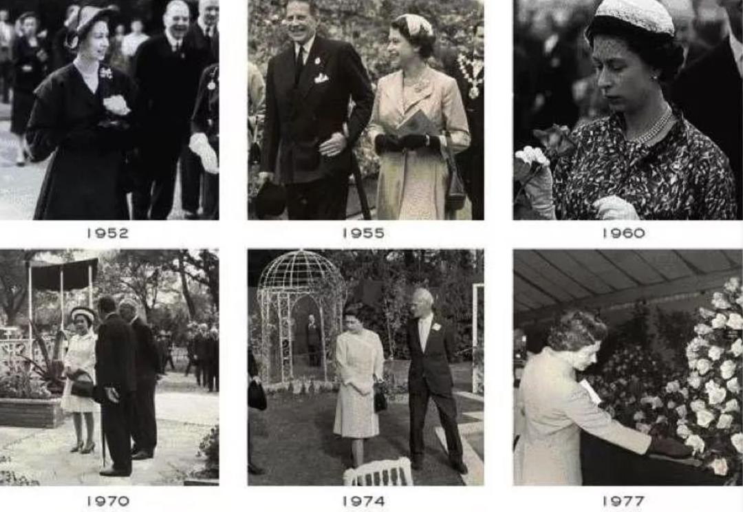 切尔西花展主题,英国切尔西花展