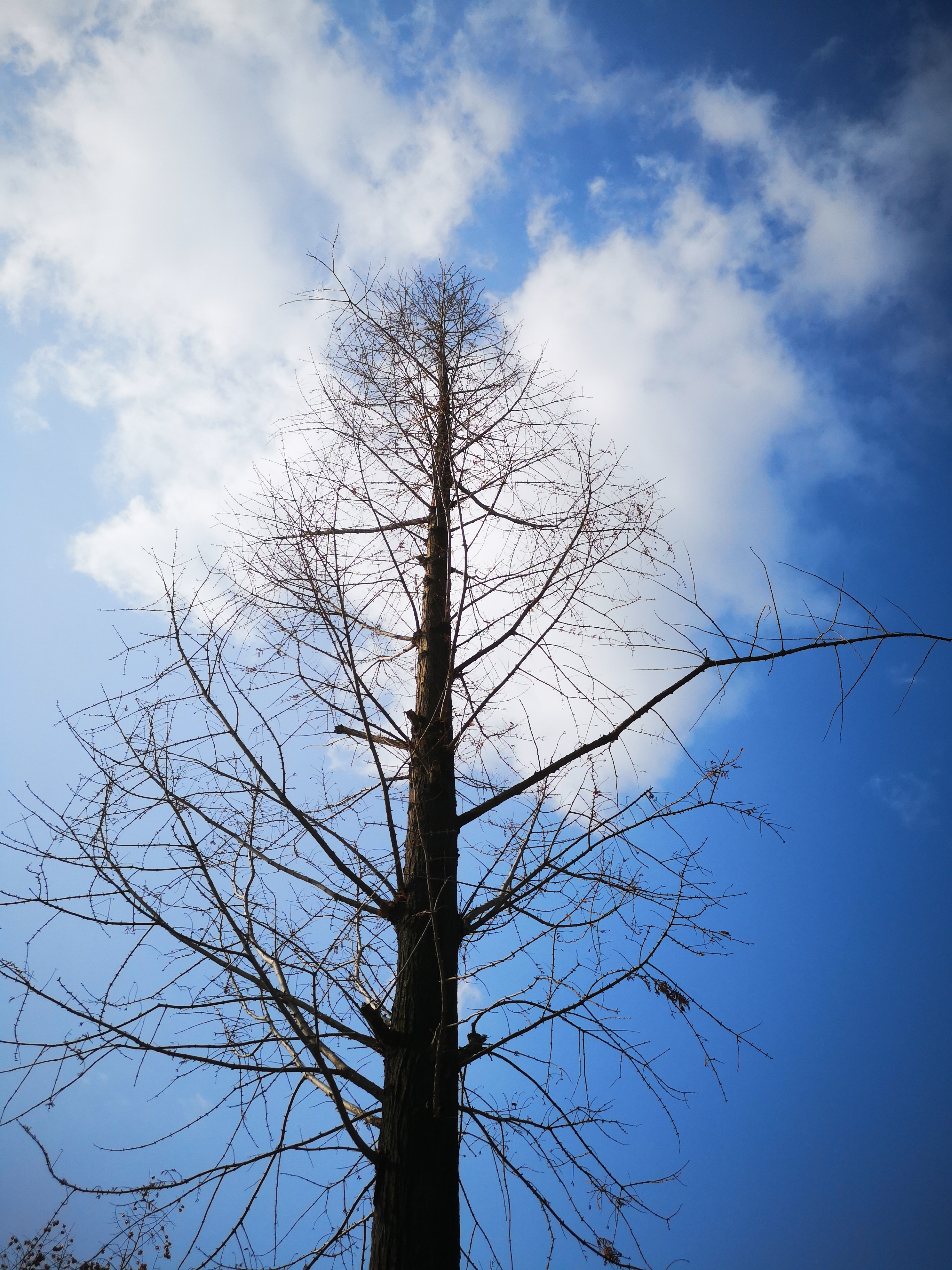 孔明的著作大全,孔明的散文