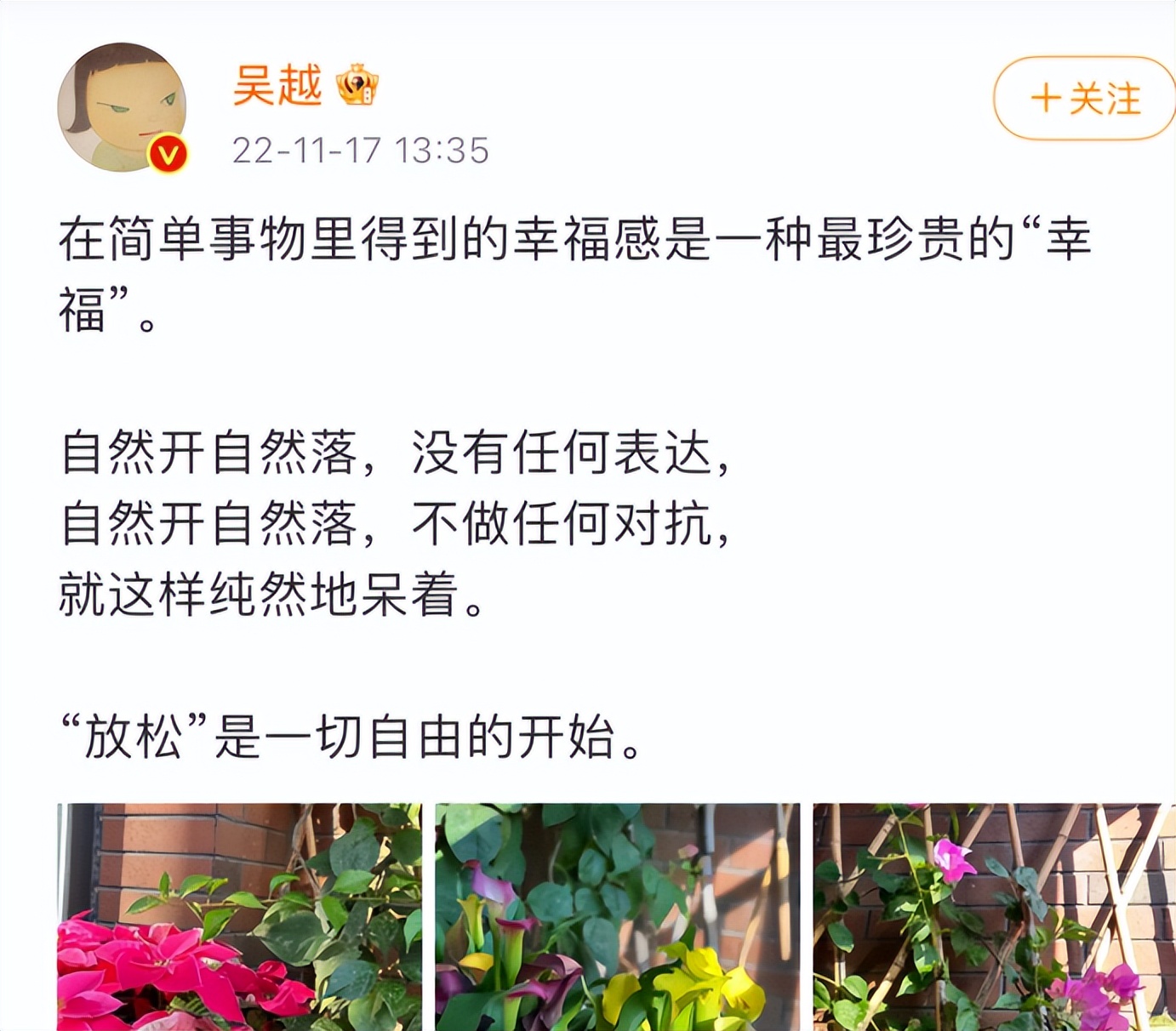 被低估演技派明星,被低估的演技派