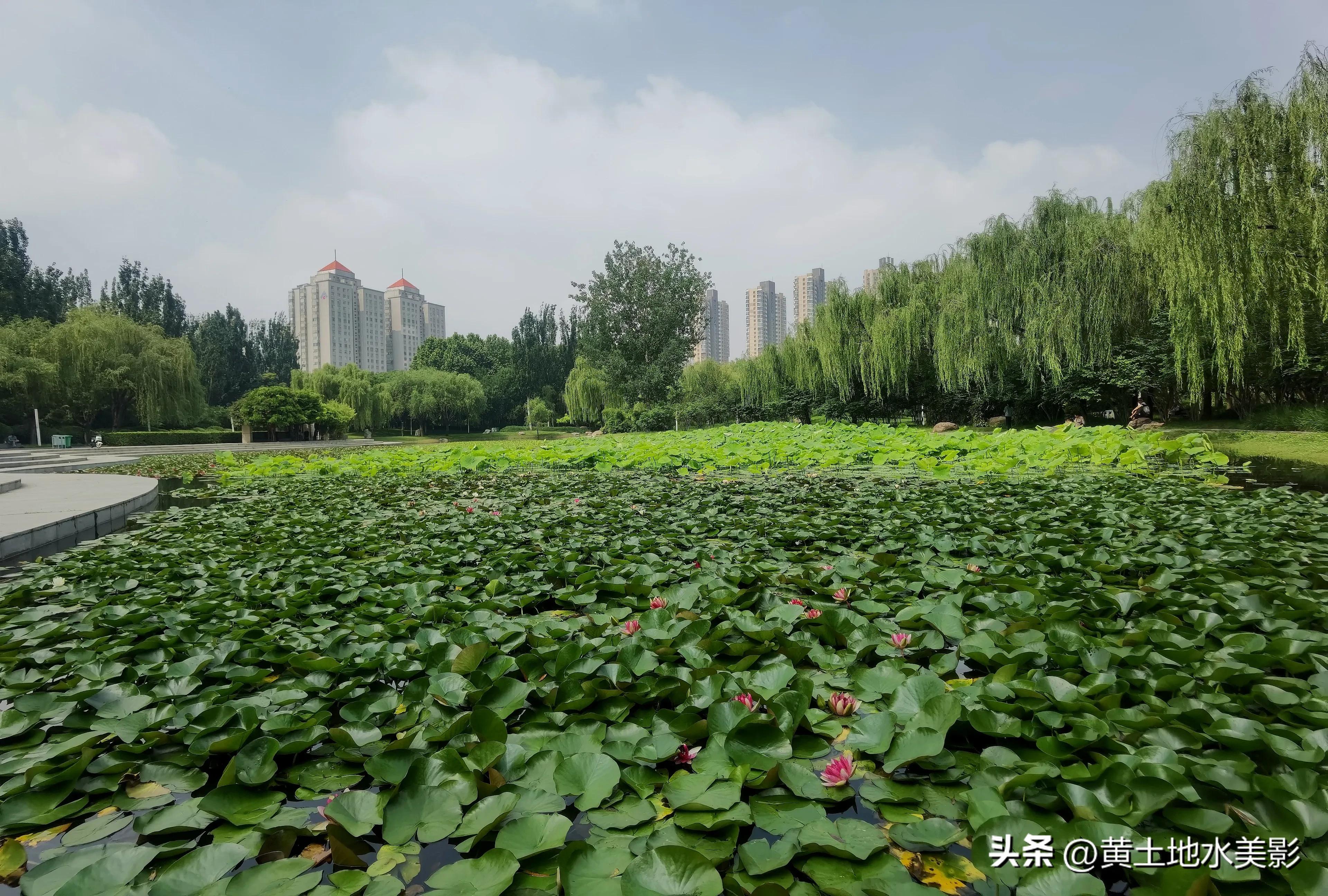 郑州儿童节周边游,郑州室外适宜小朋友游玩的景点