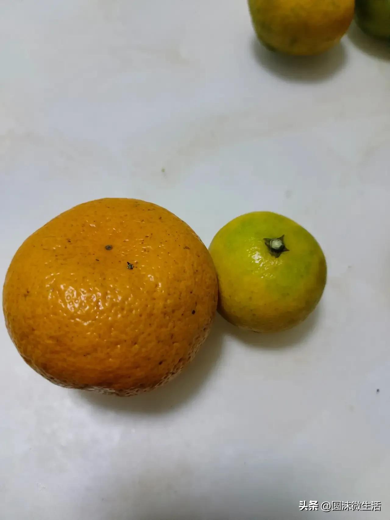 美团优选属于低价扰乱市场物价吗,低价劣质产品最终伤害了谁