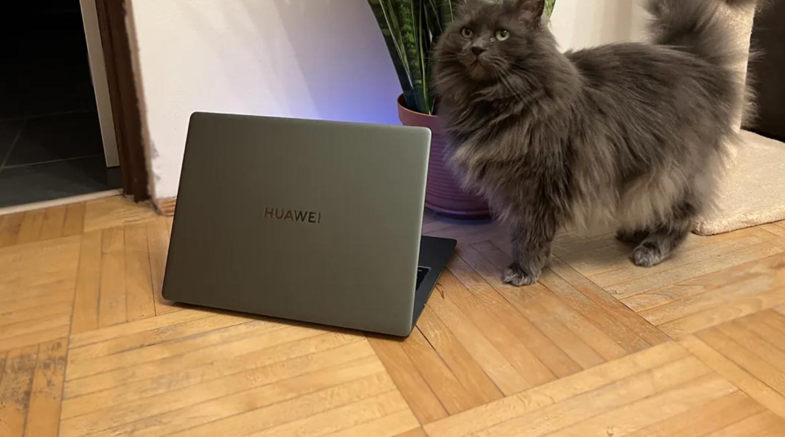 排行榜10强华为,十大顶级苹果排名