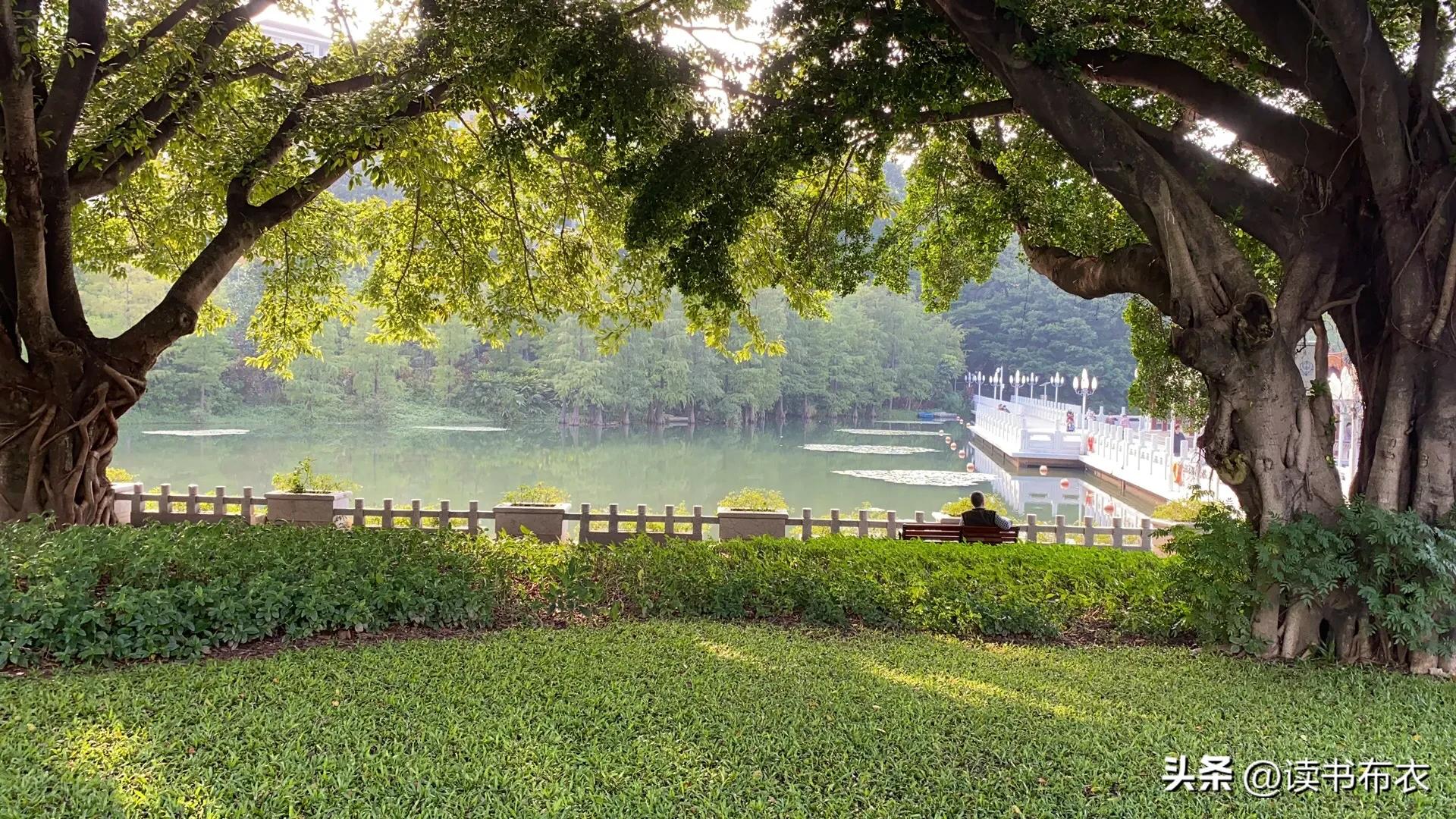 深圳荔枝公园杀人事件,深圳荔枝公园真的太美了