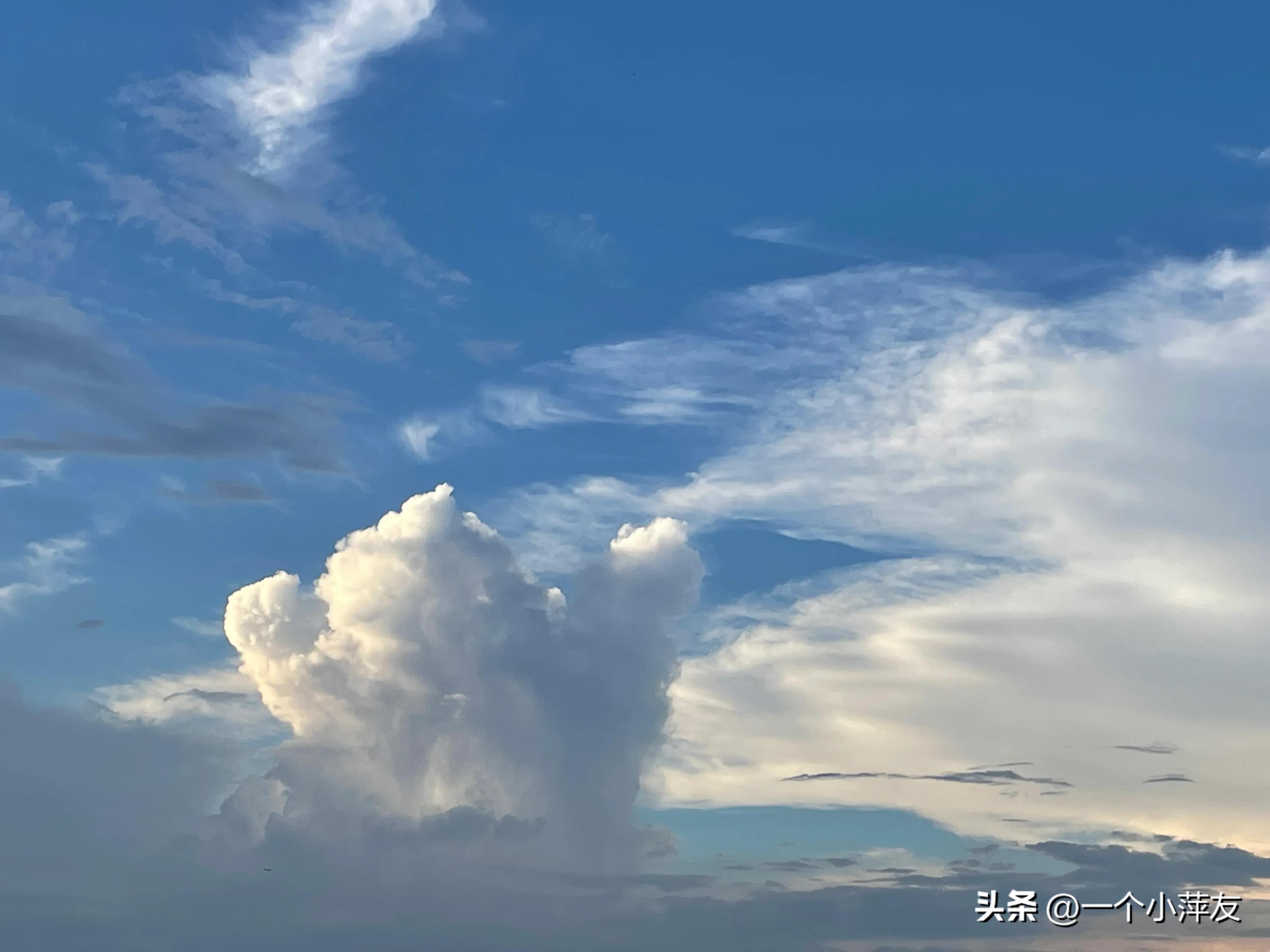 青苹果高清完整,青苹果影院