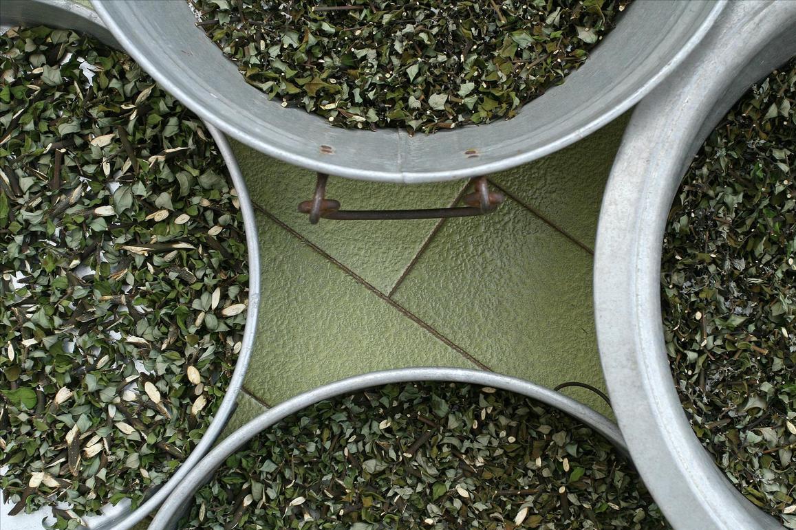 从丝绸之路传来中国的东西,丝绸之路上从西域进入中原的物品