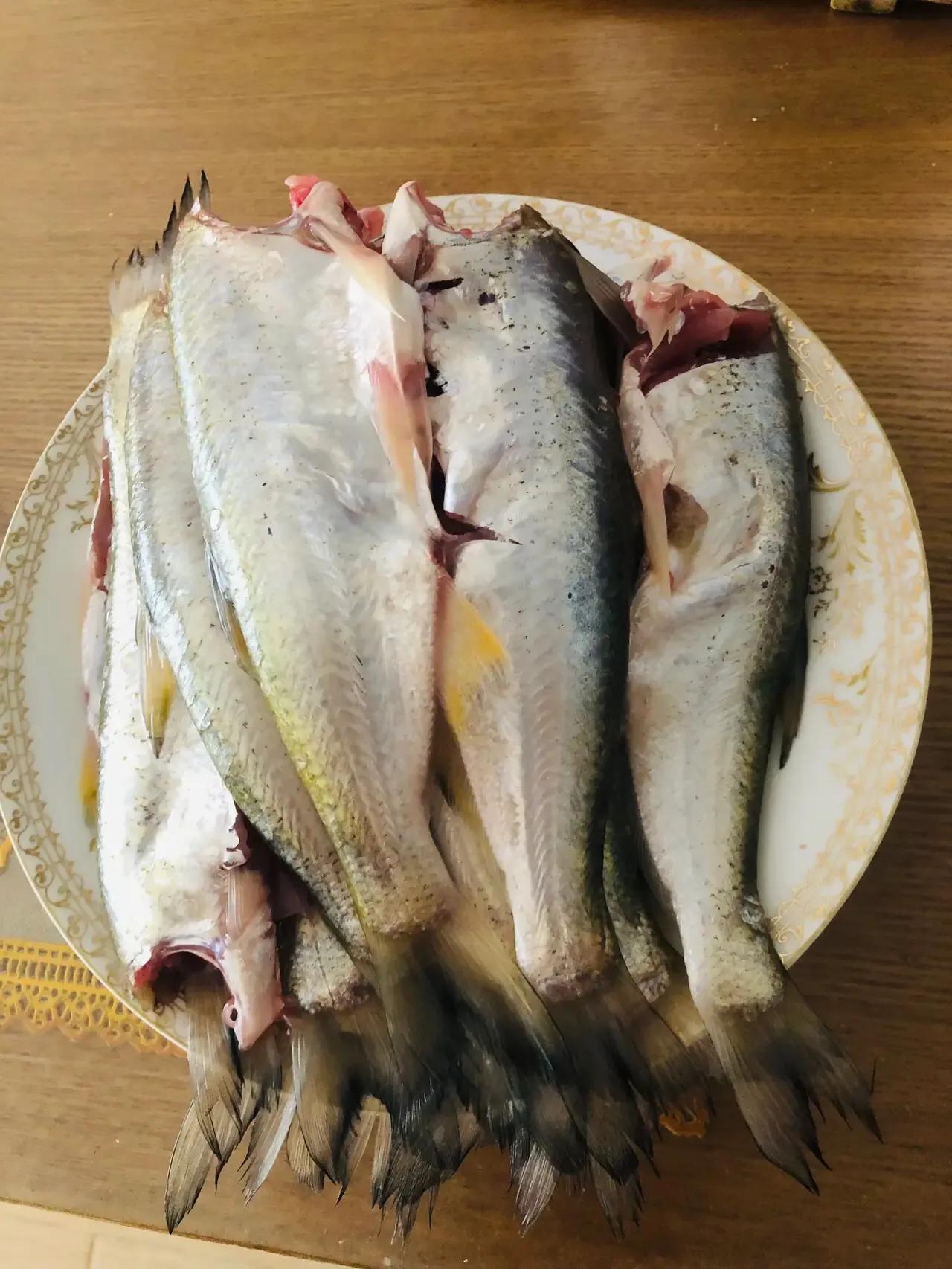 连云港公交司机,连云港市公交车司机