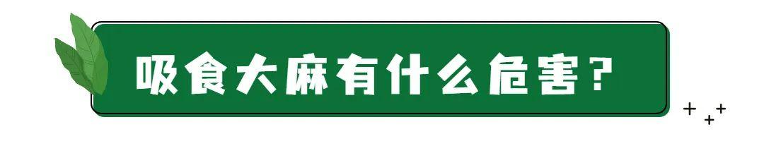 神奇的葡萄味冰淇淋,味道很不错的奇怪冰淇淋