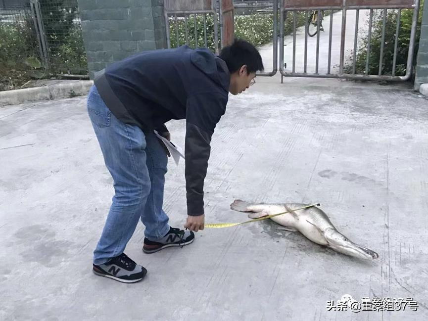 槌勯泙槌濊缃戝簵鎹㈠悕鍞崠,槌勯泙槌濊瀹氫负澶栨潵鐗╃