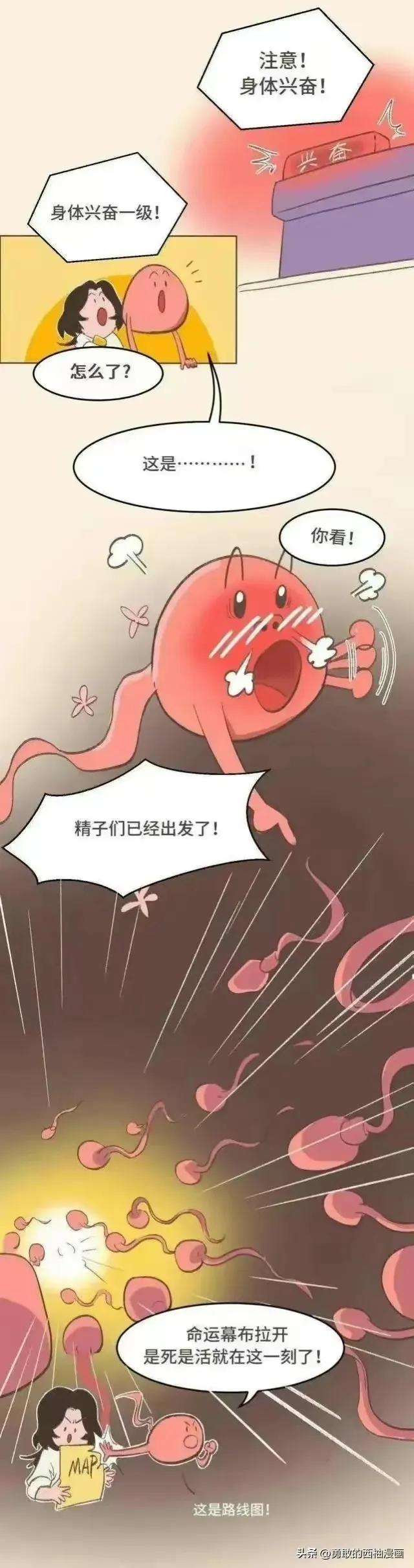 正经科普：体外射精真的可以避孕吗？（漫画）