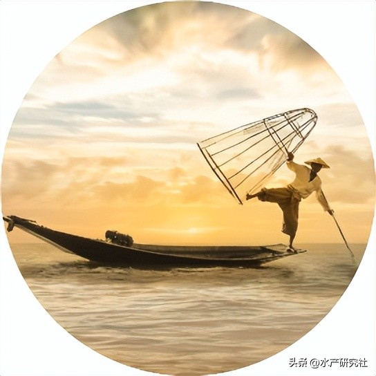 刺参消化系统组织结构特点,刺参粘多糖怎么分解