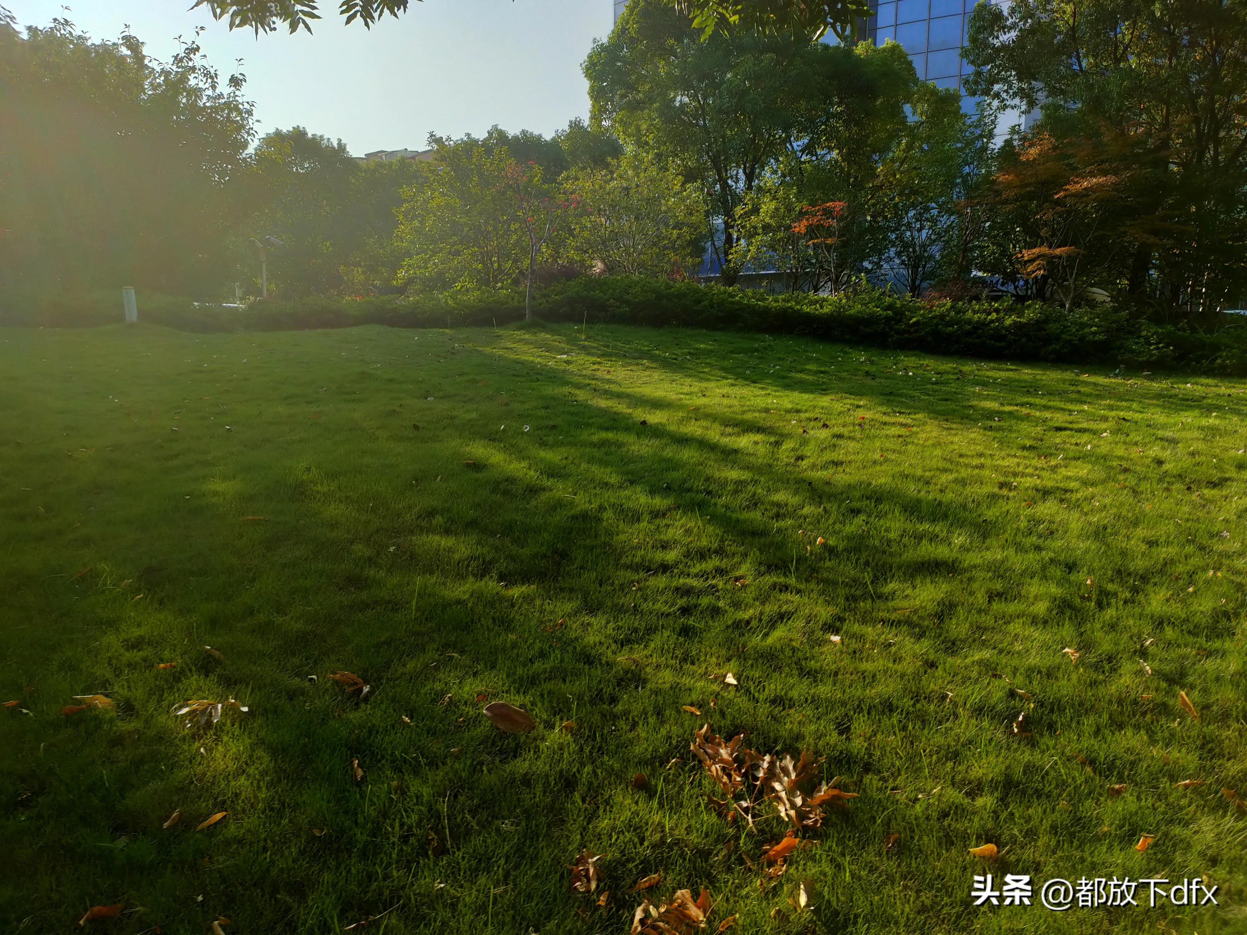 分道扬镳,各走各的路,也挺好的