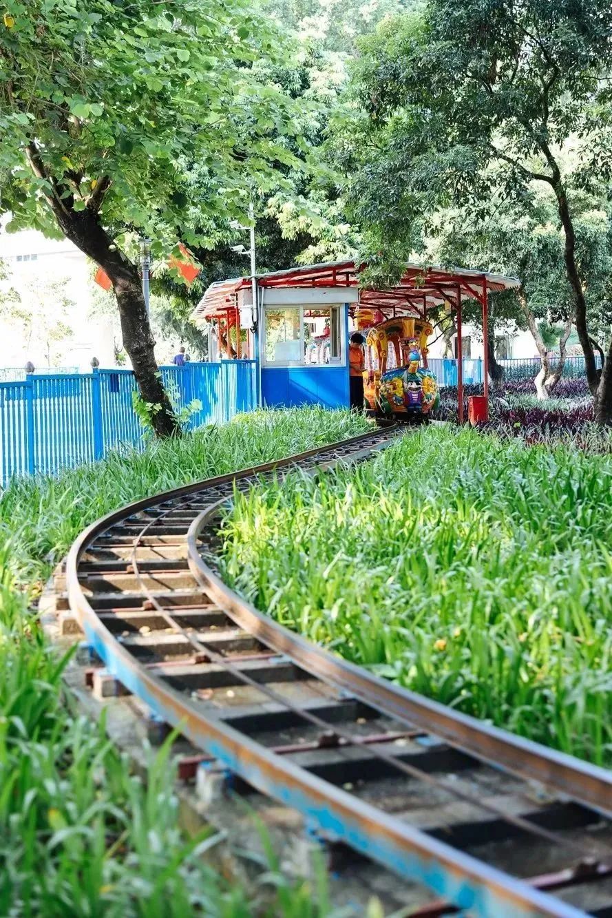 春天去哪儿玩？ABCD四条线路带你“狂飙”福田！