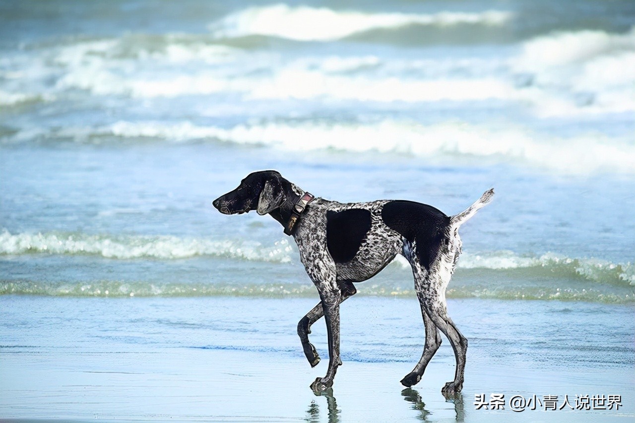 美国棕榈滩富人区和比弗利山庄,棕榈滩在美国哪个城市