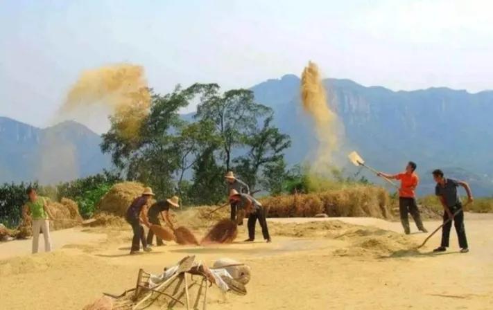 俗语“头无脑油脚无汗，到老还是穷光蛋”，是什么意思？