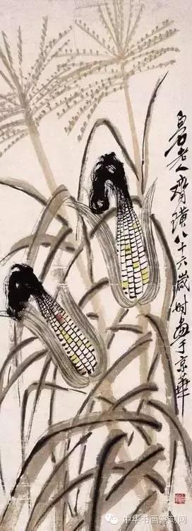 齐白石中国画艺术鉴赏,中国画齐白石作品