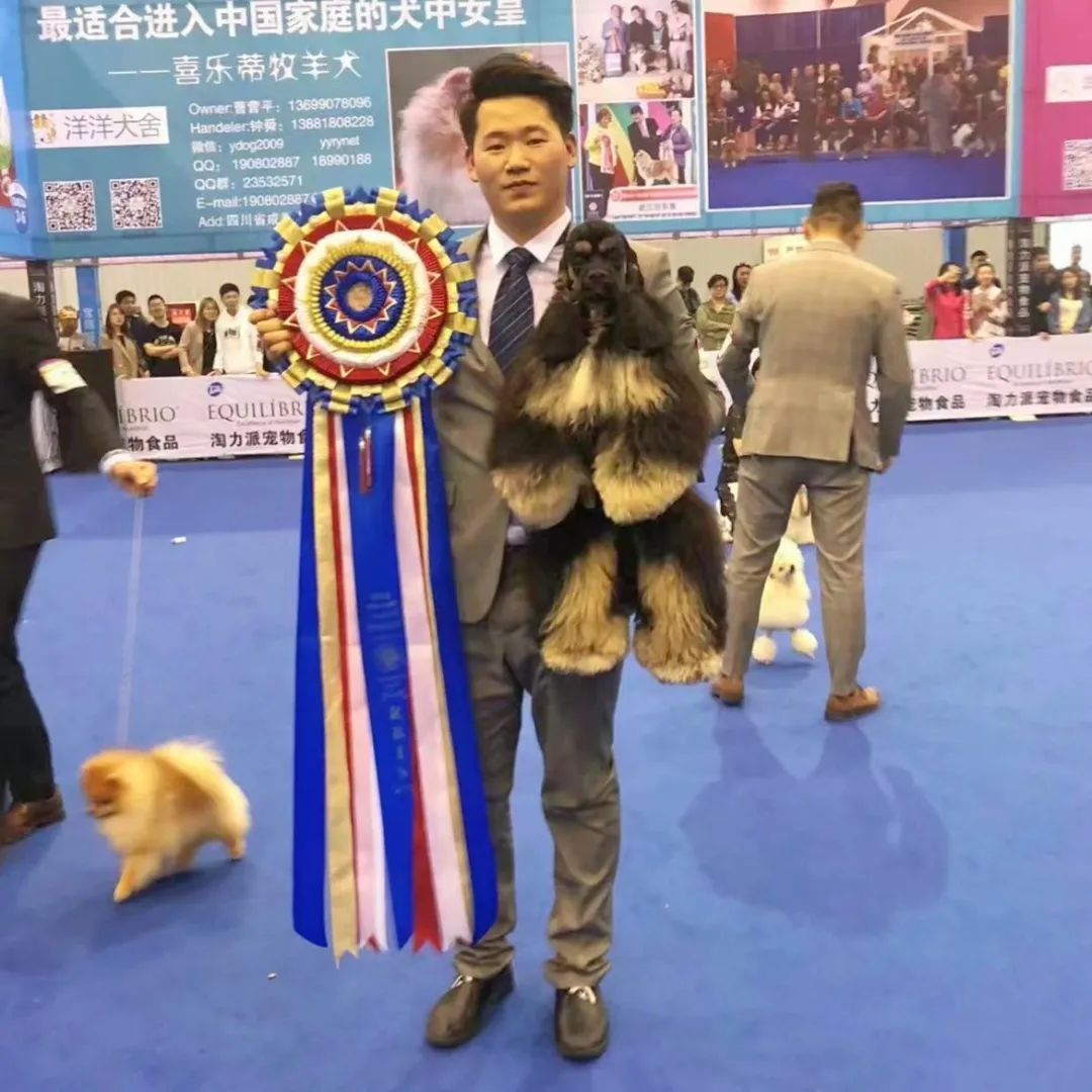 天一重庆宠博会金剪刀宠物美容师大赛正式开启!