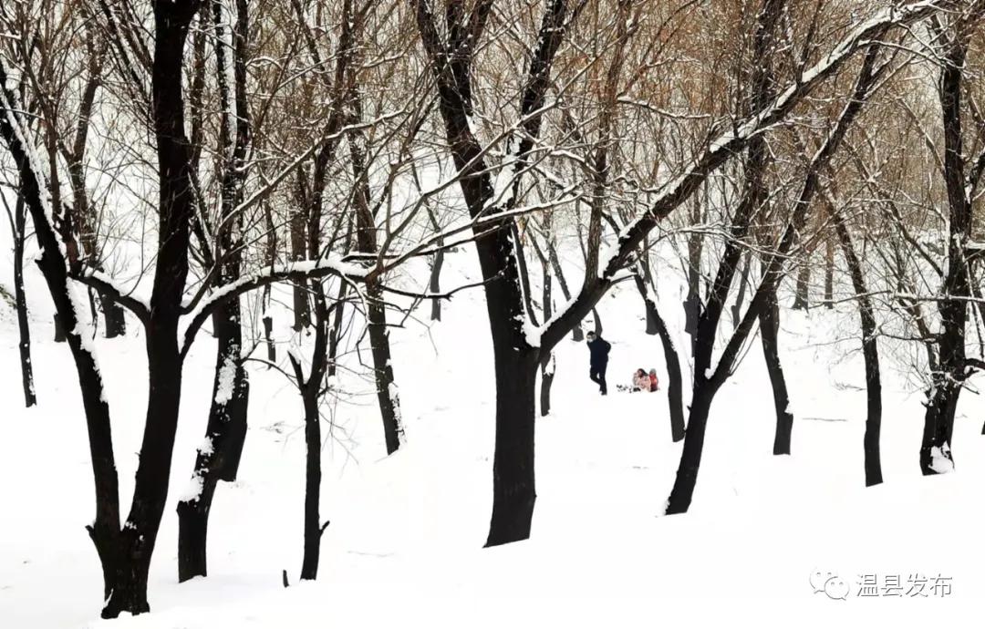 来这里邂逅一场落日余晖的浪漫,来这里邂逅柳州春天里的浪漫