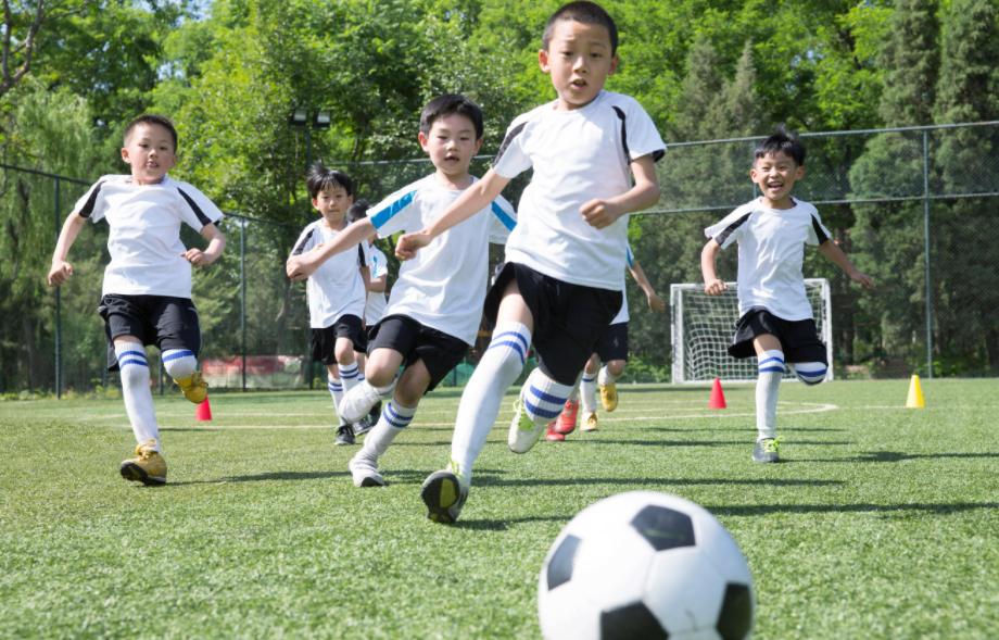 中国足球青训断档,中国足球青训现状及未来20年