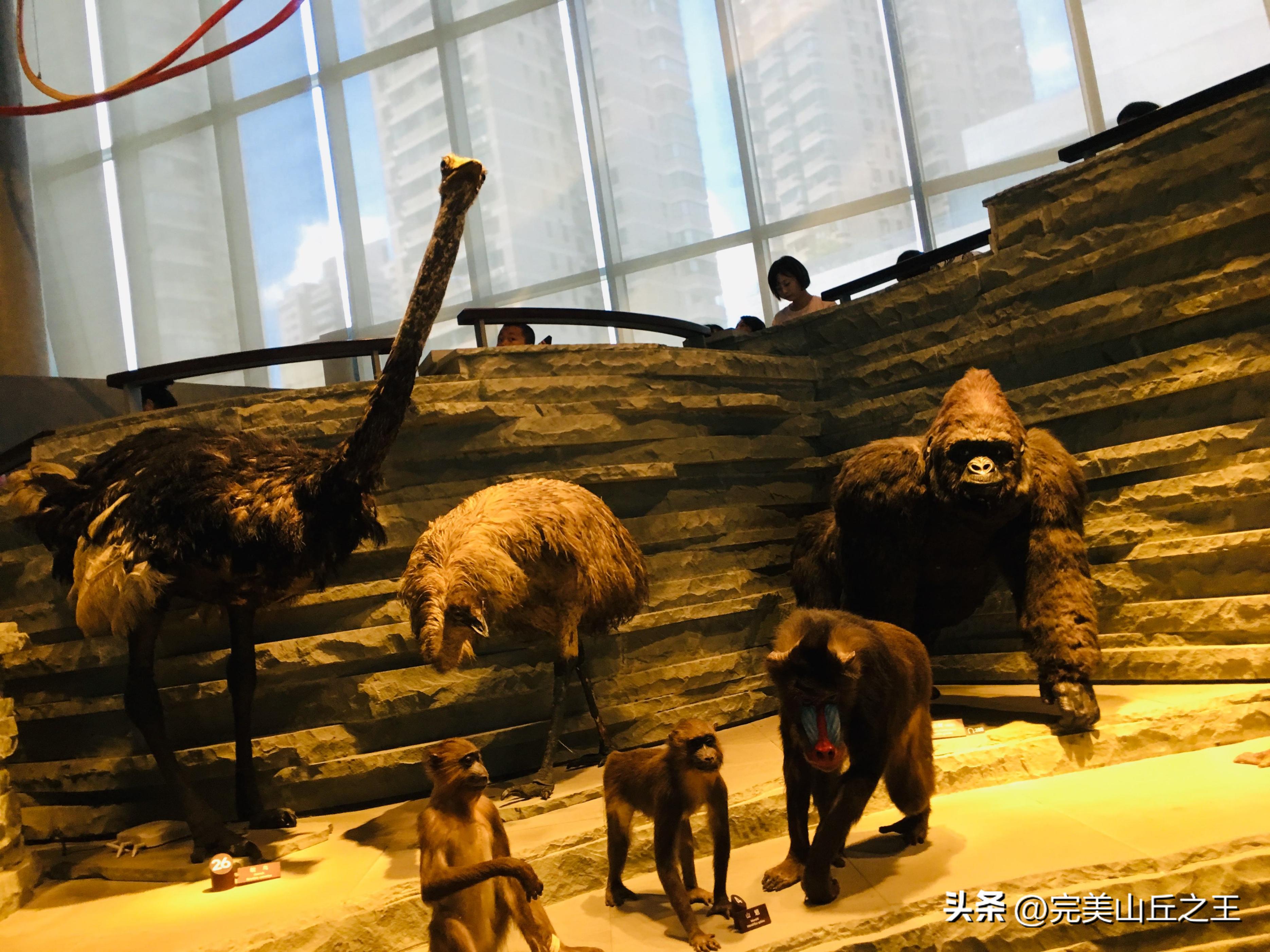 上海旅游18个景点攻略,上海周边有山的5a景区