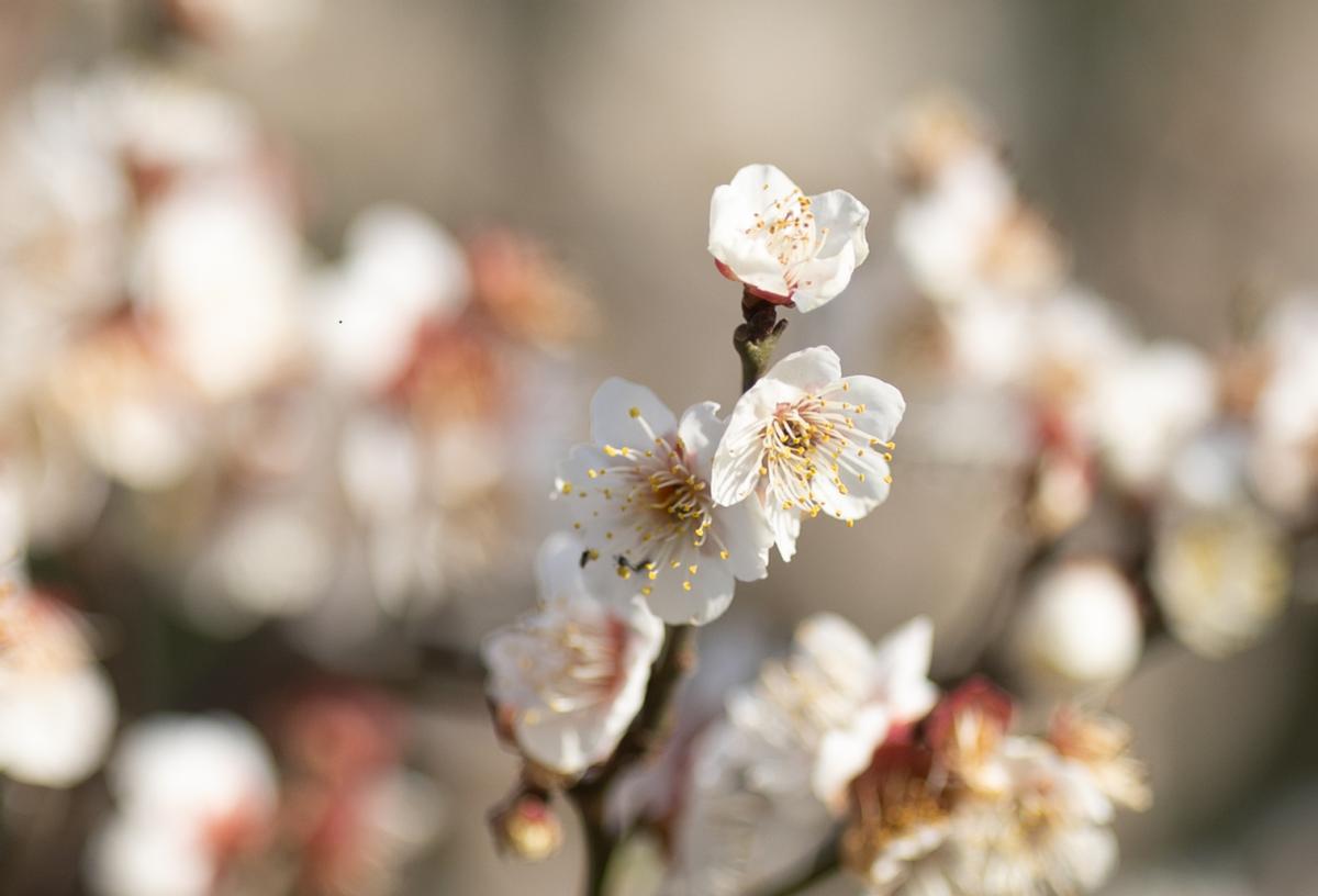 佳能eosr6深度评测,佳能eosr6使用教程