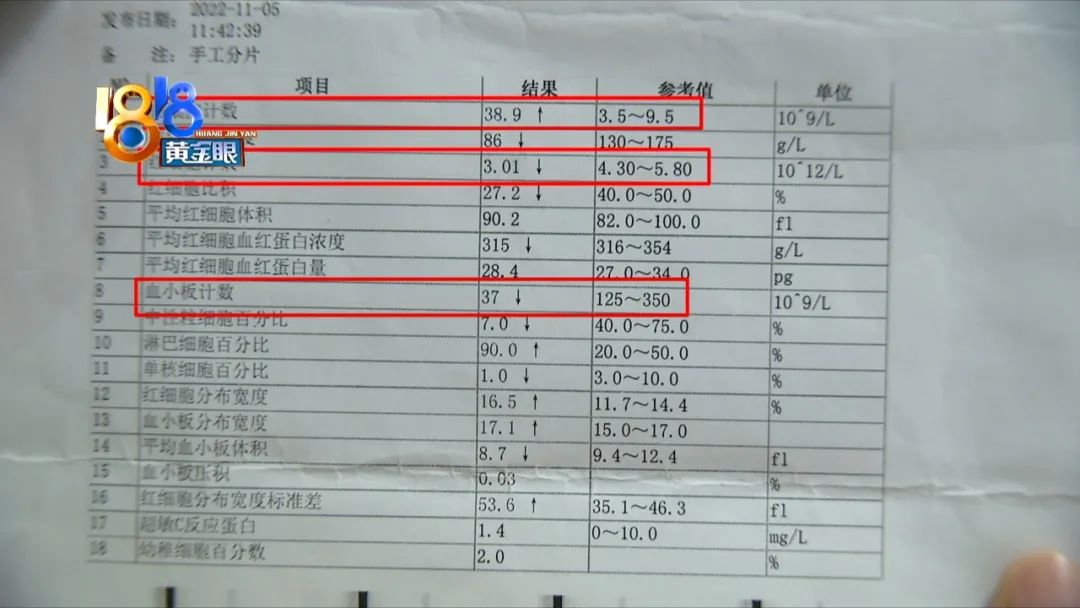 罕见的p型血,p型血好处和坏处