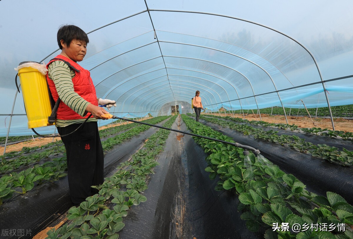 国外有机肥制作过程,国外有机肥怎么使用