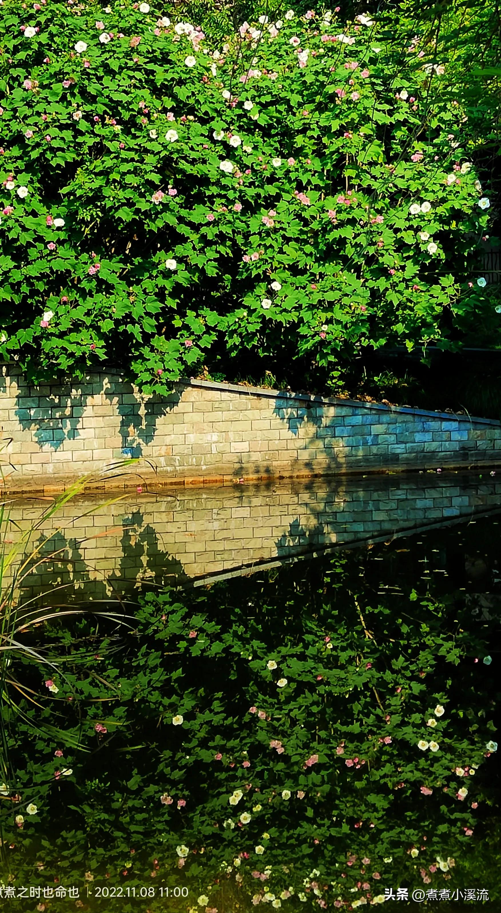 反流性食管炎自我调理,我的反流性食管炎治愈经历
