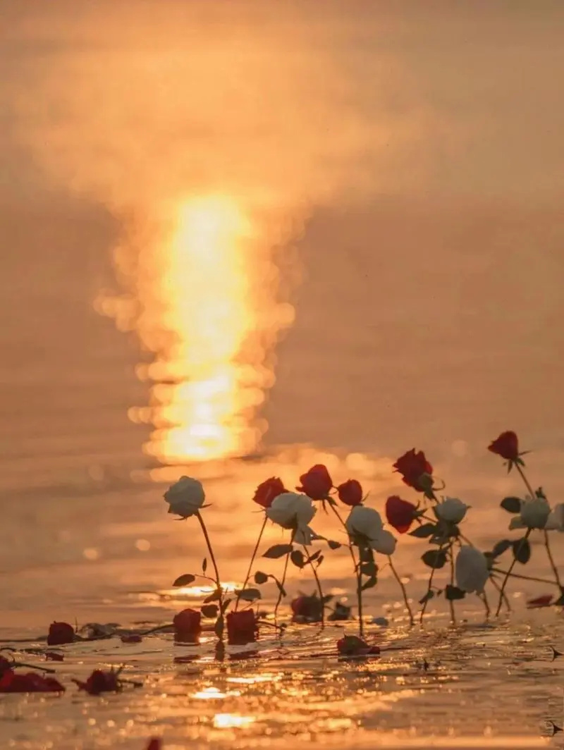 老丈人不借钱给小舅子,老丈人不借钱给小舅子怎么办