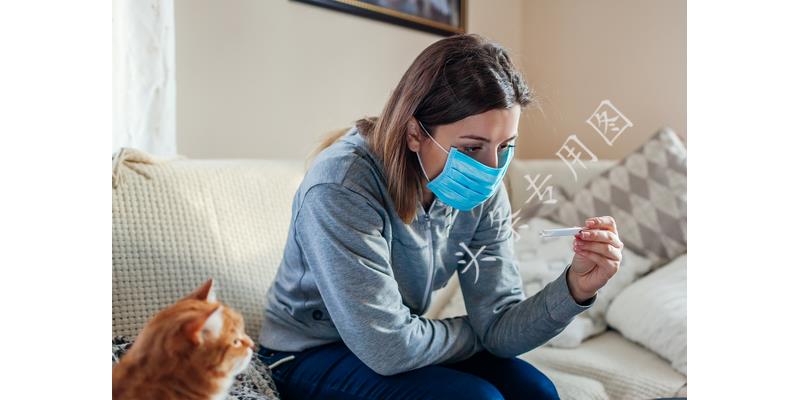 侄子在嫂子家借住三年,侄子上学借住家里很烦