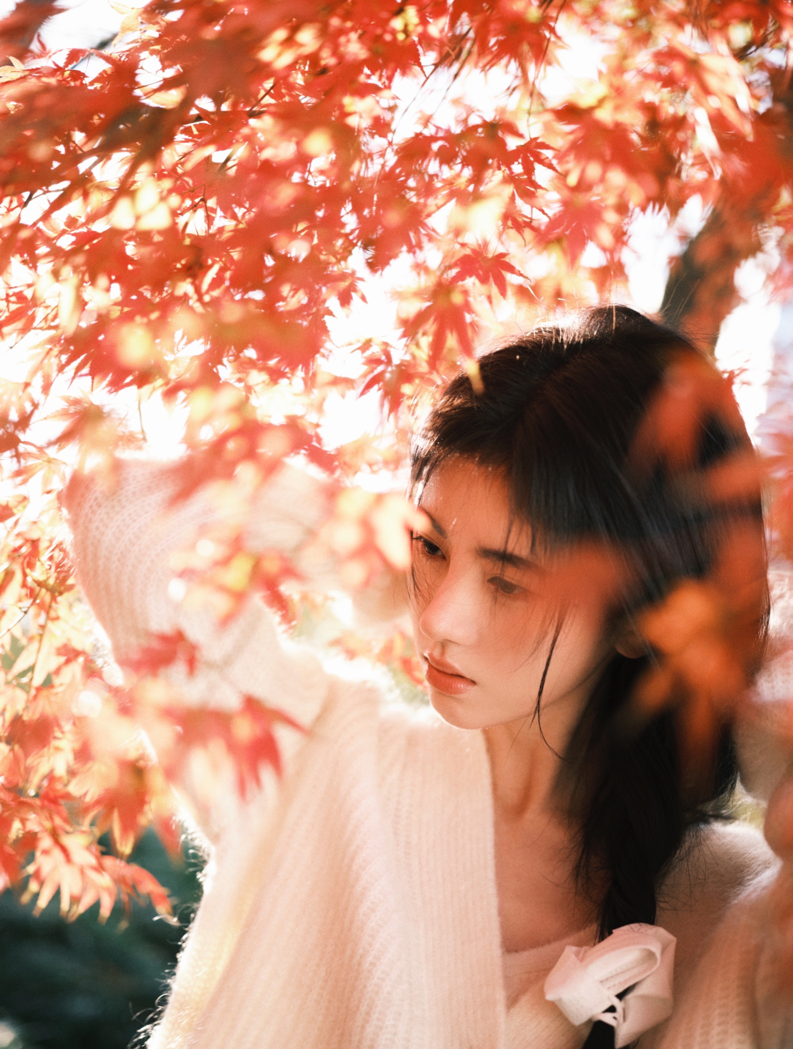 鞠婧祎身高165,身高159鞠婧祎