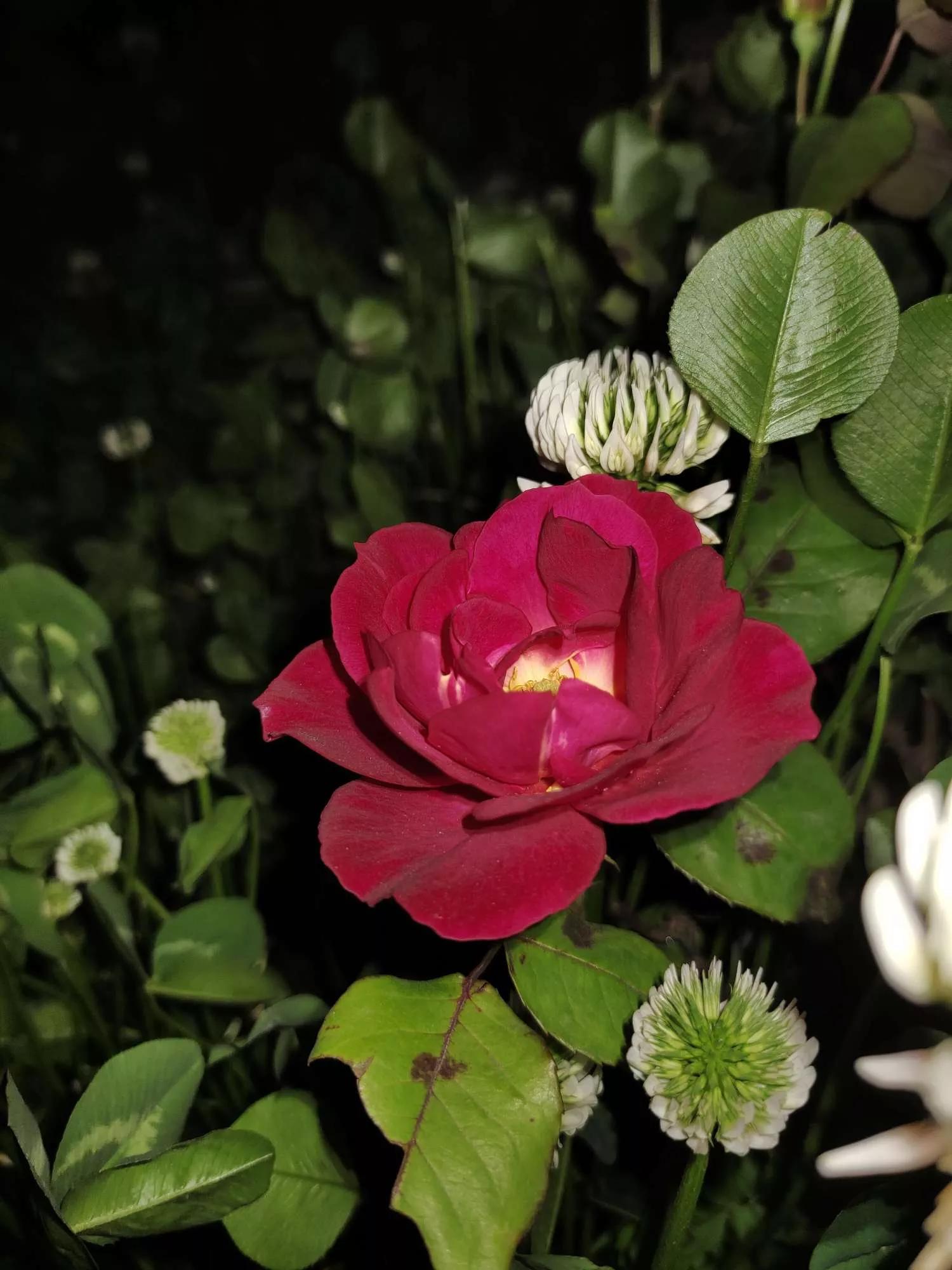 岁月斑驳留下来的都是静好时光,岁月斑驳愿时光静好