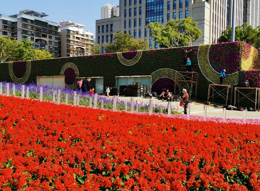 深圳成功打造世界著名花城,深圳打造国际花园城市