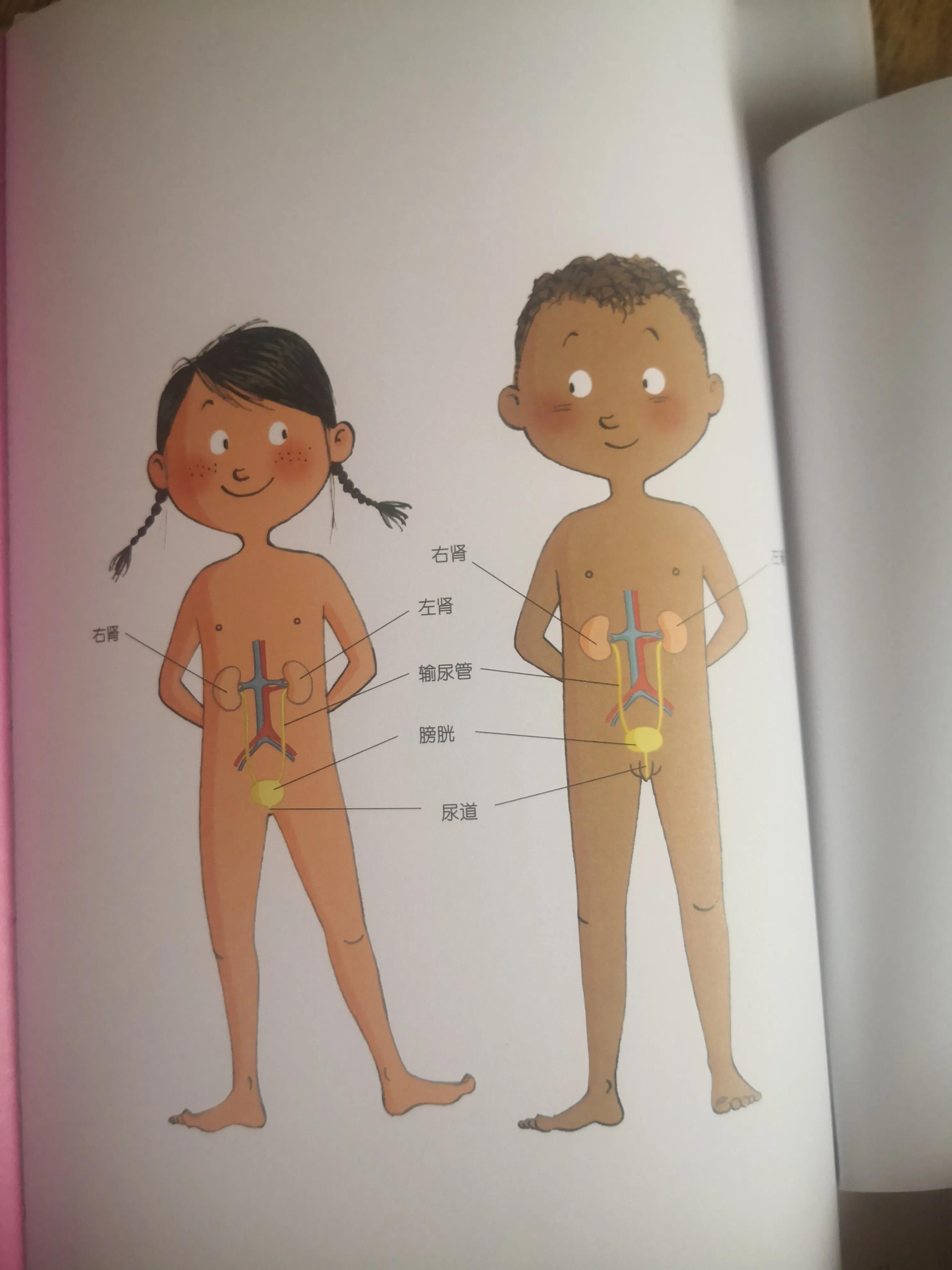 你对你的身体真的了解吗,你了解自己的身体情况吗