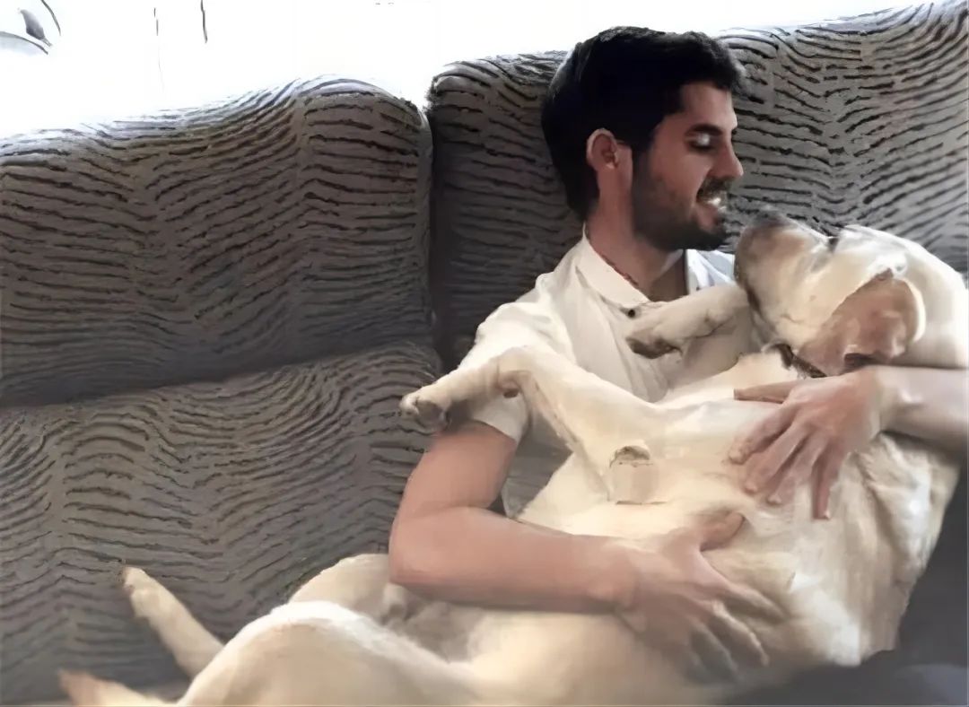 足球队吉祥物动物,足球球星的宠物