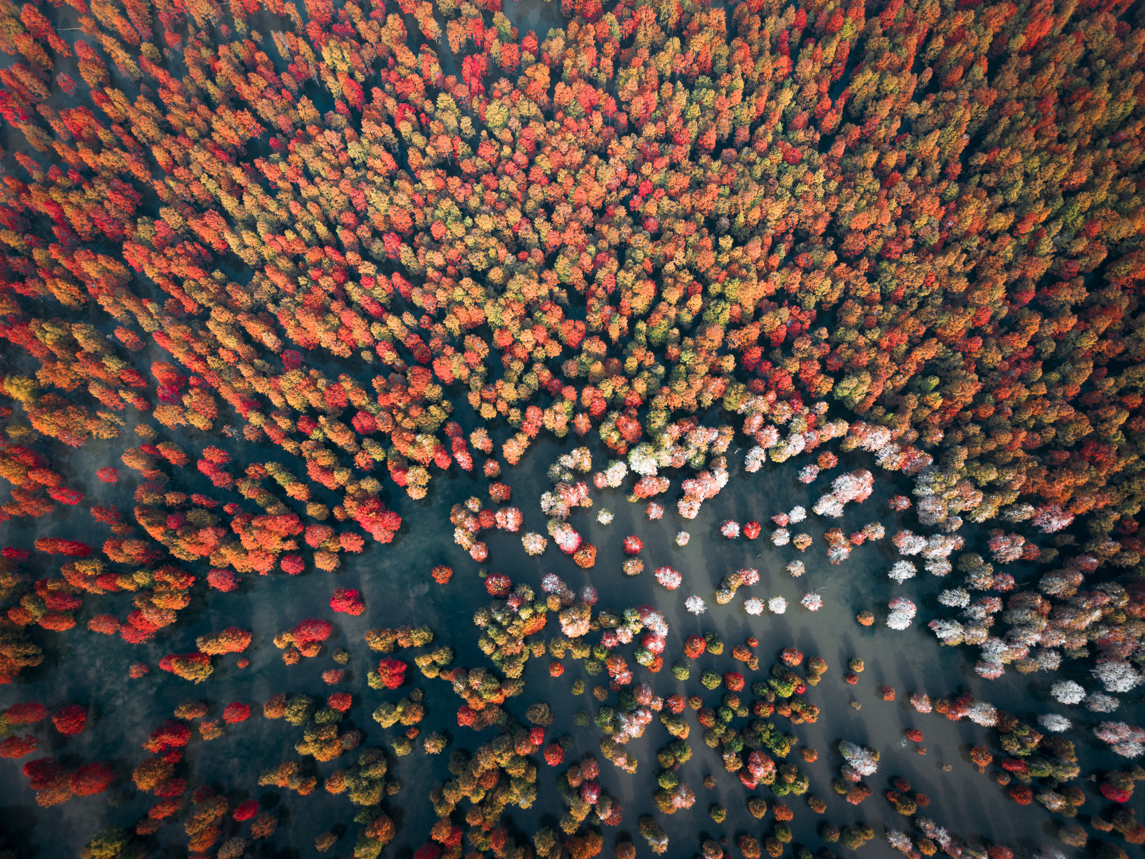 苏浙皖赣的旅游景点有多少,苏皖旅游景点推荐