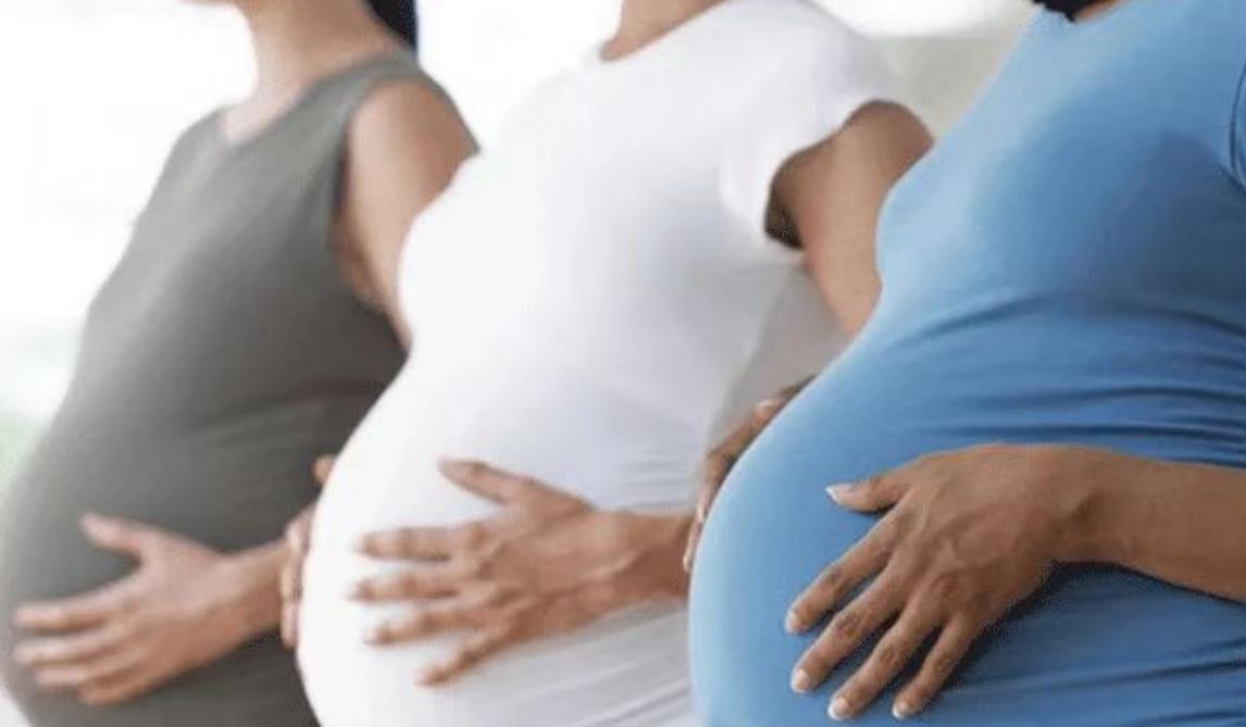 美国8只白鼠进入乐园,美国将8只白鼠放进乐园