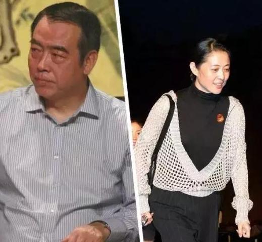 如何看待陈凯歌对柳岩发怒,陈凯歌怒斥柳岩