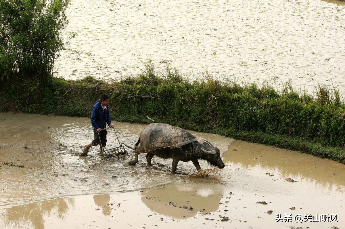 门前见方塘风水,门前见方塘好不好