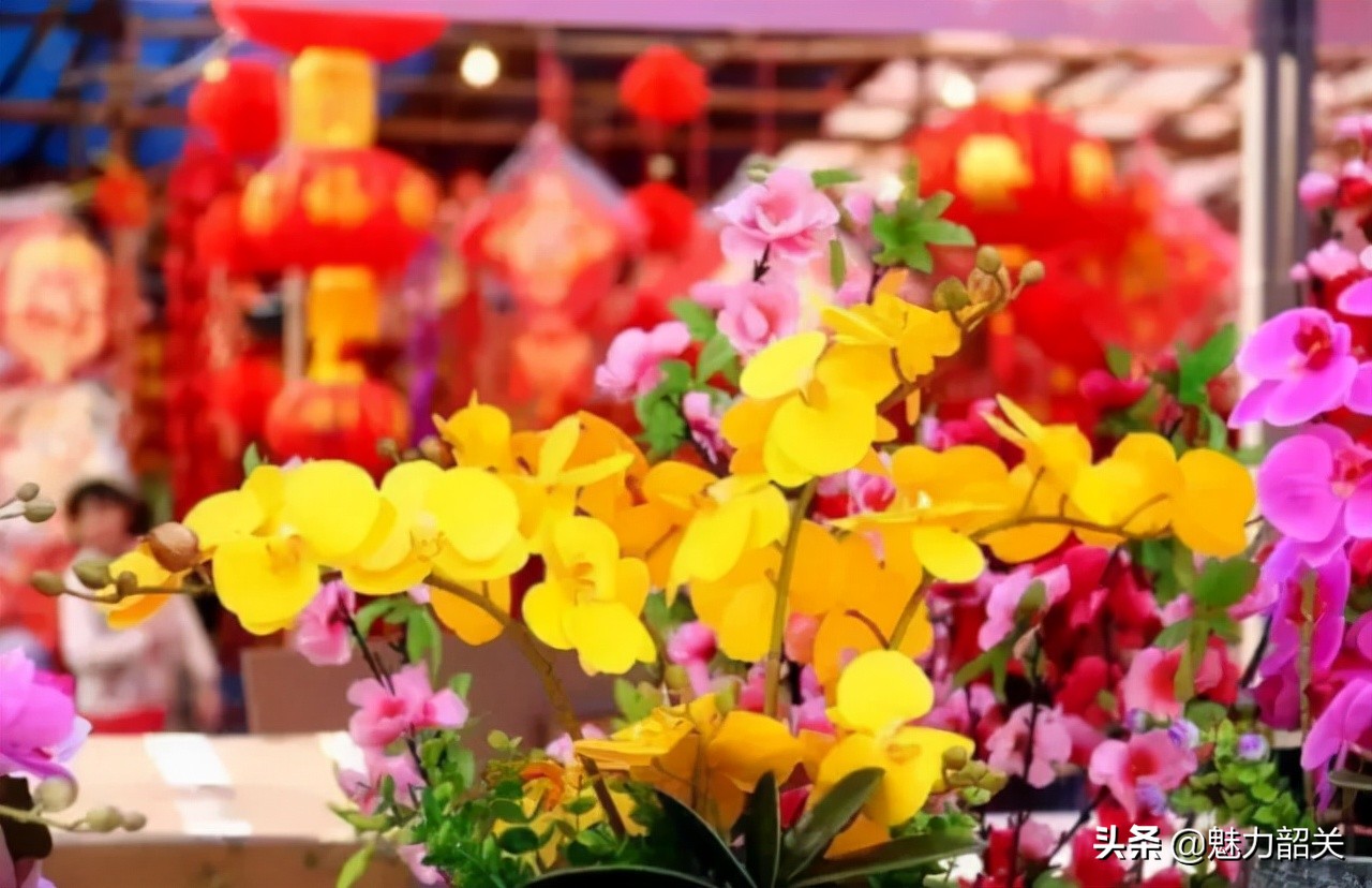 韶关今年迎春花市在哪举行,韶关迎春花市怎么样