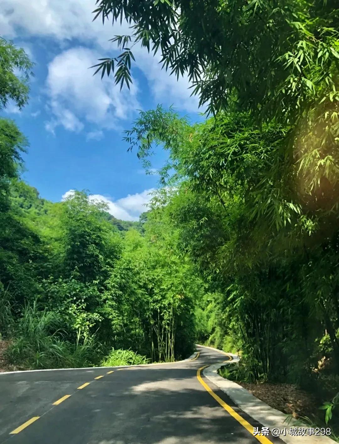 乐山旅游景点沐川竹海,乐山竹海风景区冬季