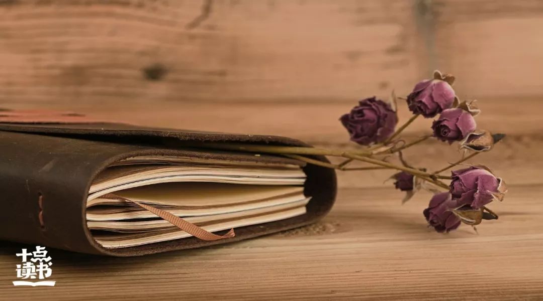 什么是小聪明,聪明和小聪明有什么区别