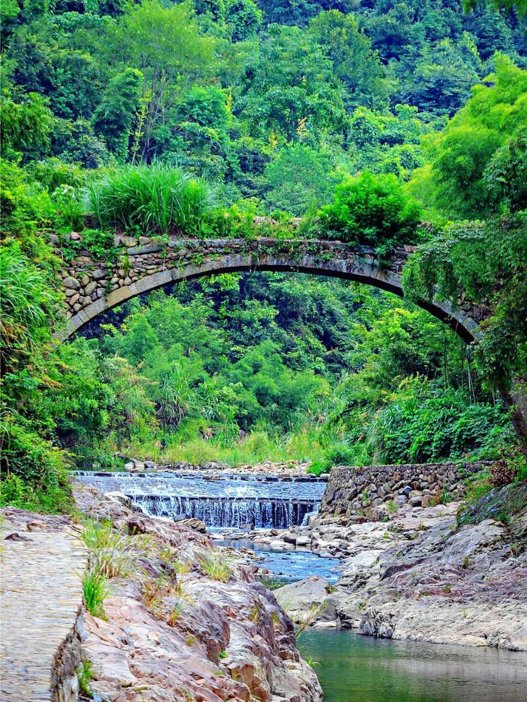 浙江最适合避暑的小城,浙江避暑胜地攻略