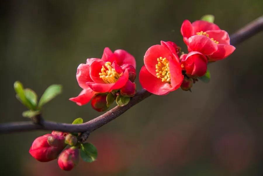 春暖花开人间有爱,迎接春暖花开愿所有美好如约而至