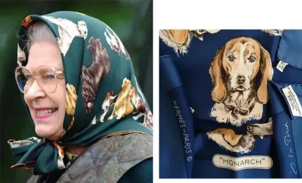 女王的教室日剧全集免费观看,女王的家韩剧全集大结局