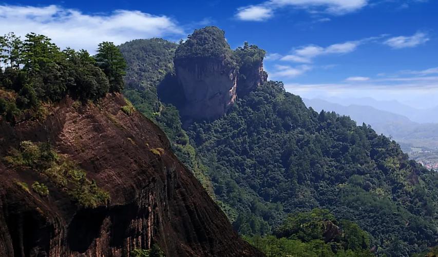 地产人速写61：从女篮时隔28年再次问鼎世界杯决赛想到的