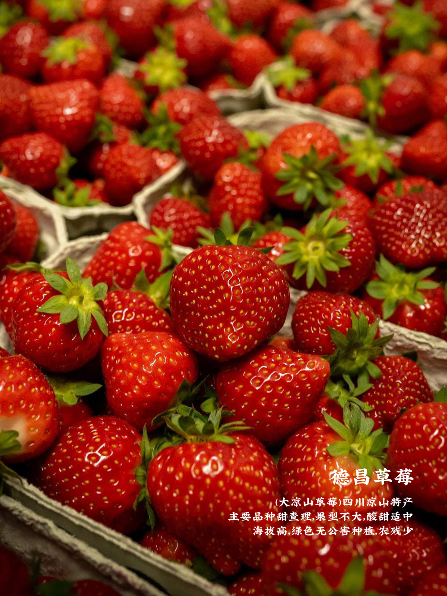 12月现在季节吃什么水果,12月什么水果最好吃最便宜