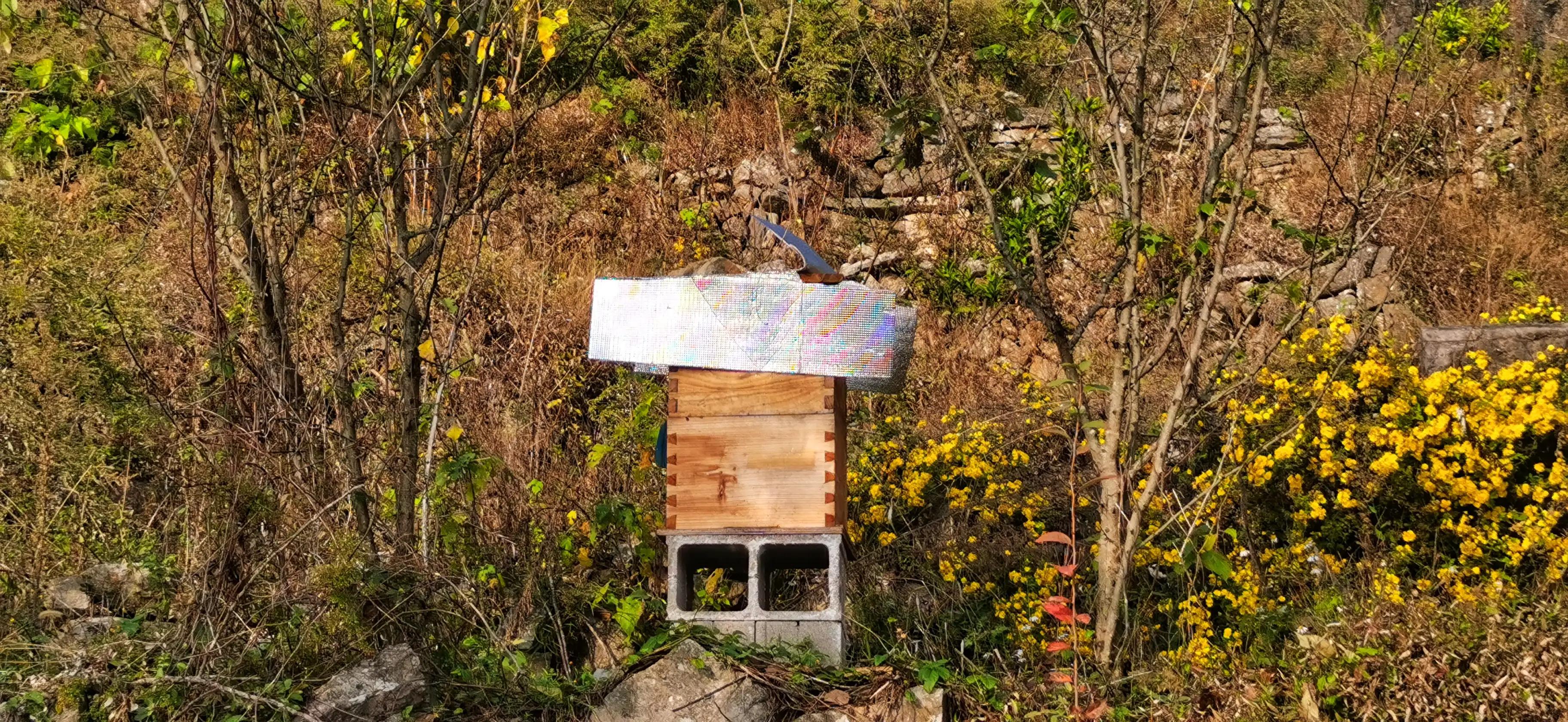 蜜蜂嗡嗡*花采**忙秋风送爽带蜜香，甜蜜事业甜蜜歌，蜜蜂酿蜜乐山乡